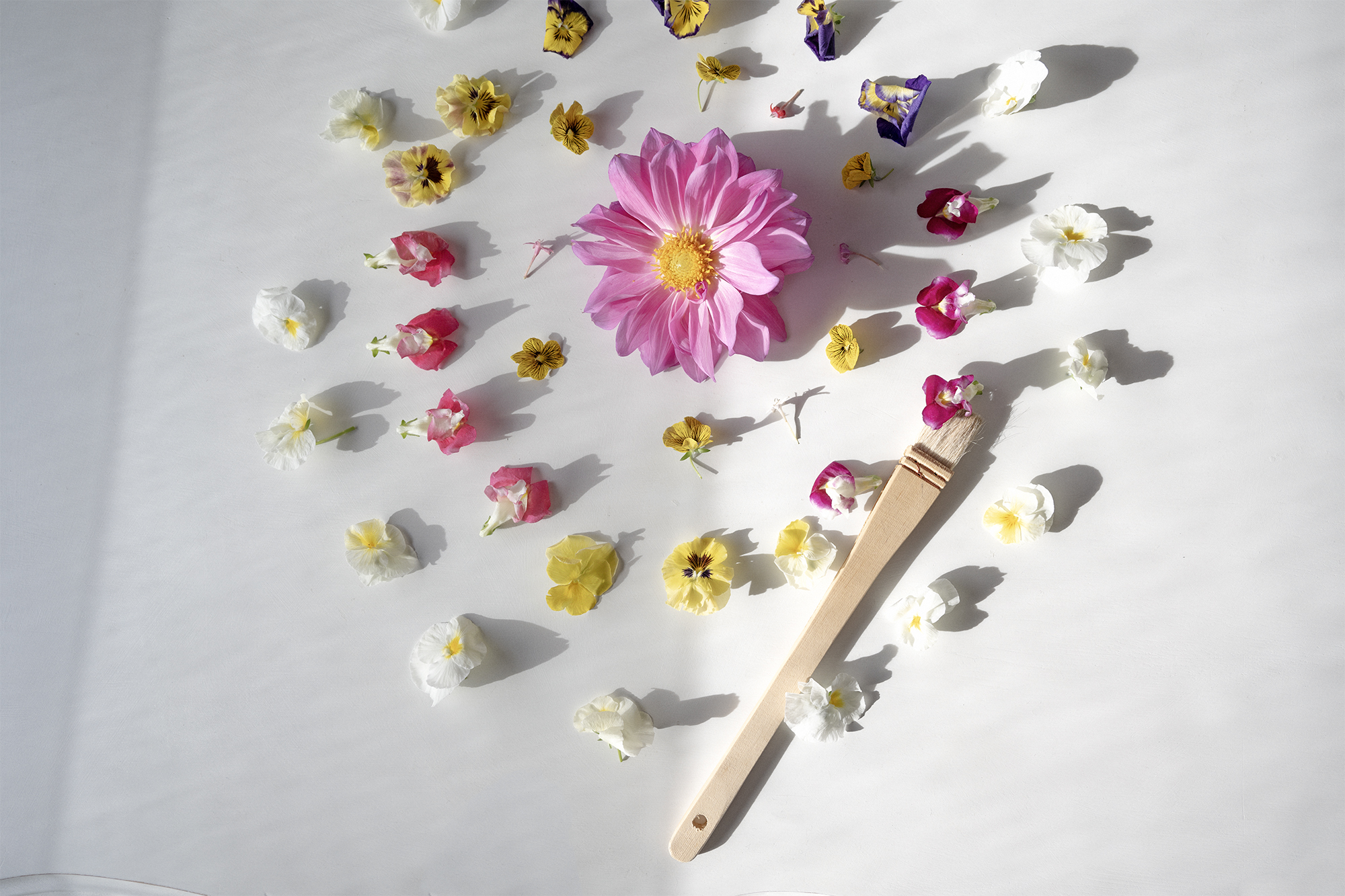 Edible Flower mandala on white painted tabletop with paintbrush